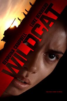 yify wildcat